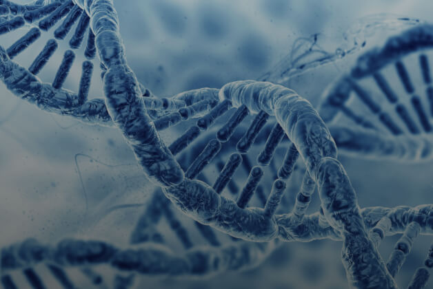 Fundamental Science & Researches