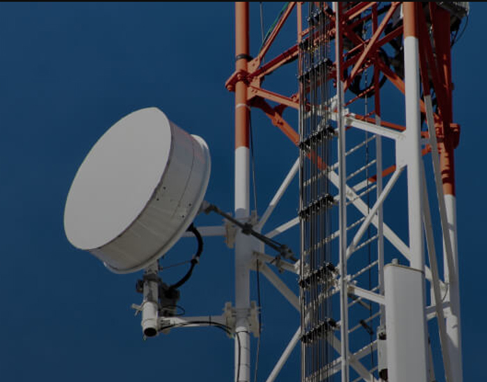 Digital Services & Media